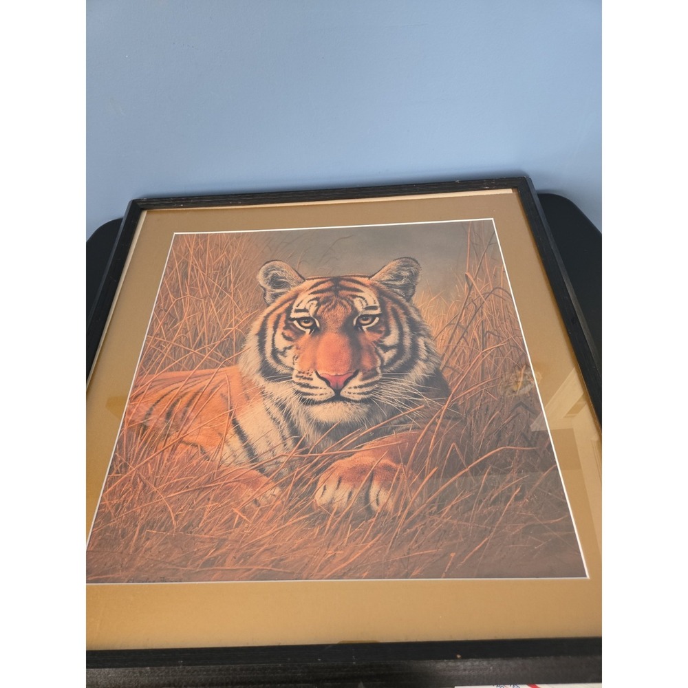 Charles Frace Tiger Print 1973 Signed Framed And Matted